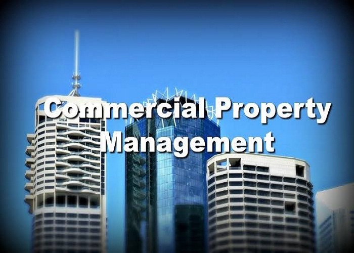 Commercial Property in Noida