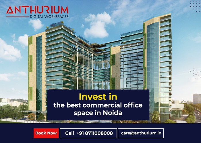 Commercial Property in Noida